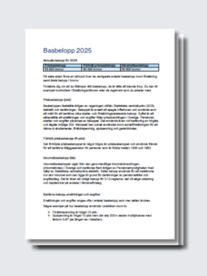 PDF Basbelopp 2025 – Guide & Lathund