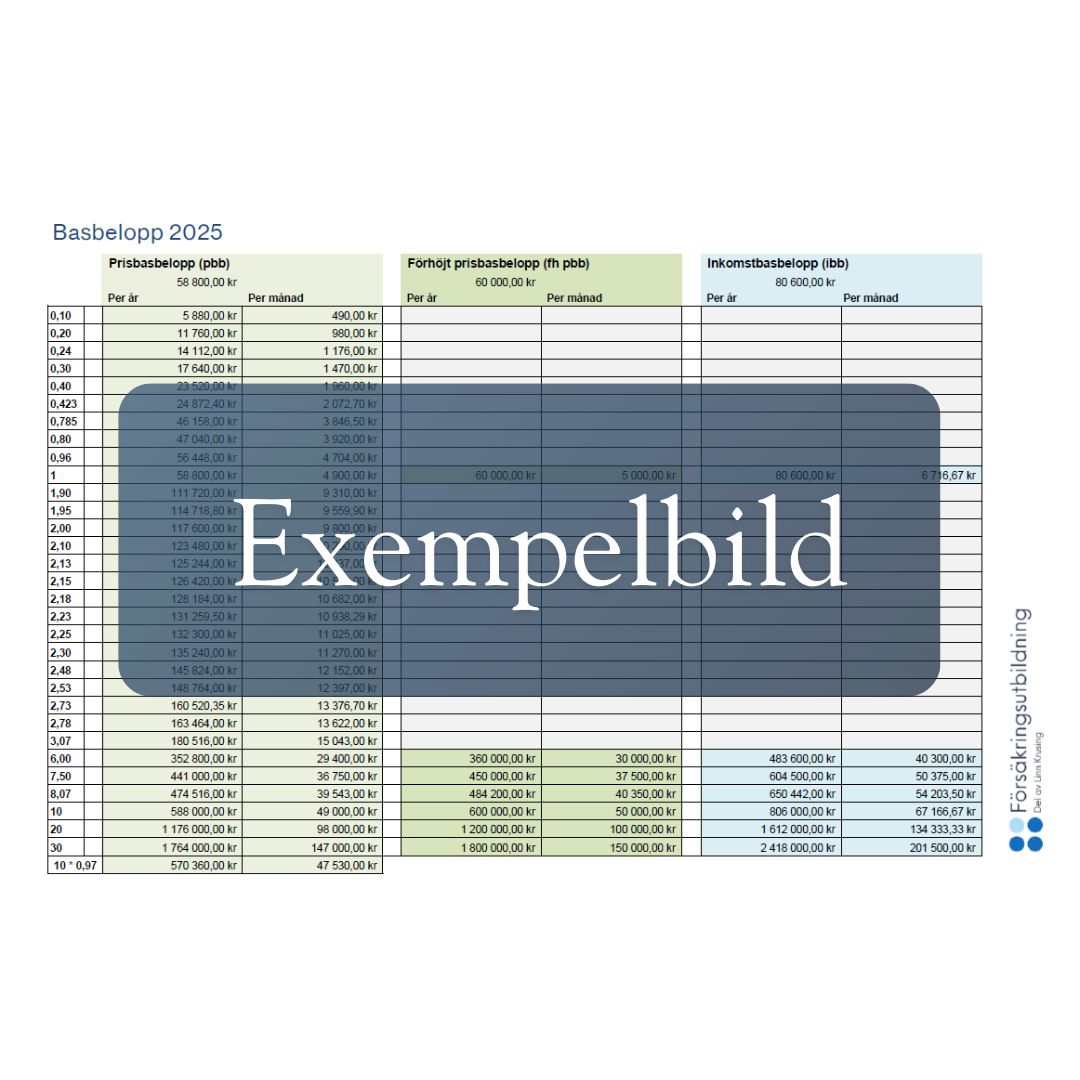 Basbelopp 2026 – Slipp räkna själv (Matris + Guide) - Bild 2