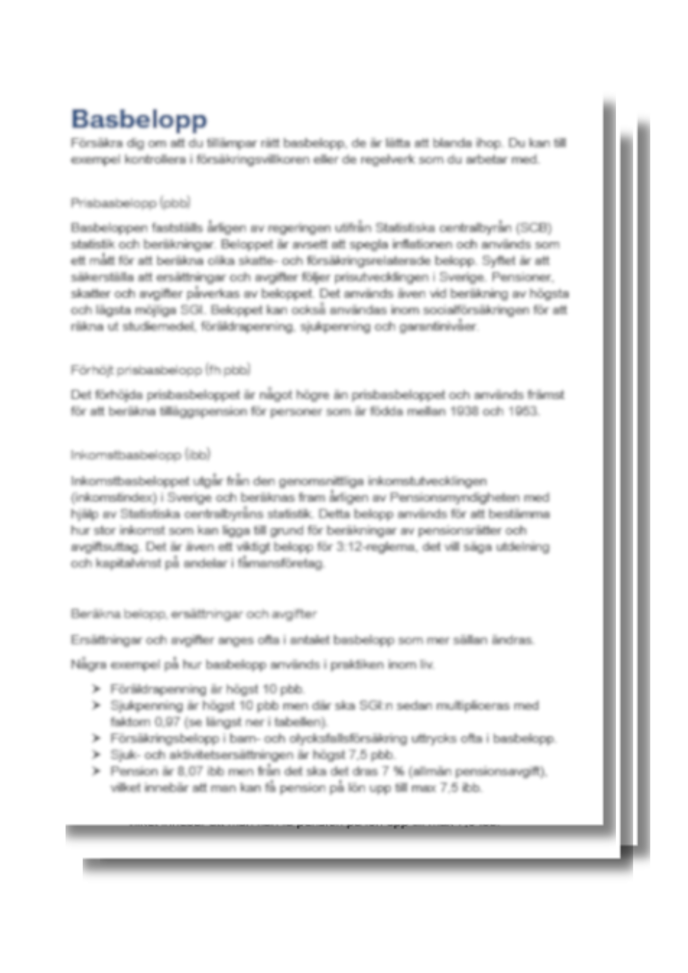 Basbelopp 2026 – Slipp räkna själv (Matris + Guide) - Bild 3